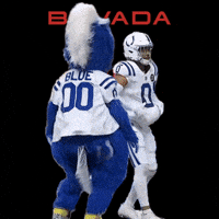 Colts Belly Dance GIF by Bovada