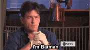 Charlie Sheen Batman GIF