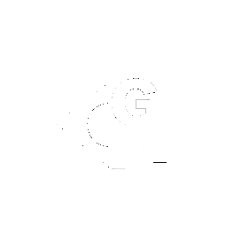 Gft Gfteam Sticker by Rogerio