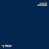 Baseball GIF by WVU Tech Golden Bears