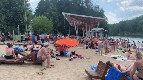 nizamov121090 giphyupload beach GIF