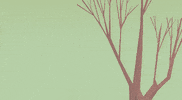 Bes Animation GIF by Kitty Is Not A Cat