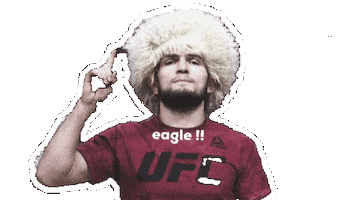 Conor Mcgregor Eagle Sticker