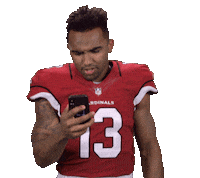 Arizona Cardinals Stickers Sticker by NFL