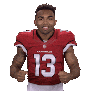 Arizona Cardinals Stickers Sticker by NFL