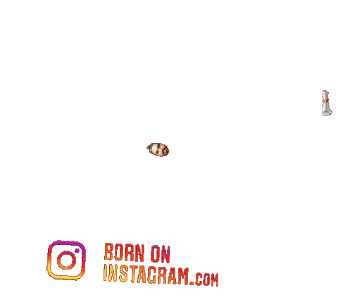 Shuklagauravboi Sticker by BORN ON INSTAGRAM