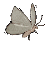 HannahGraceSmithArt pink fly butterfly insect Sticker