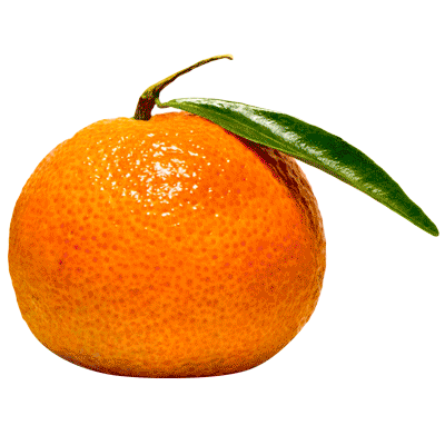 bkkofficial giphyupload orange healthy vitamin Sticker
