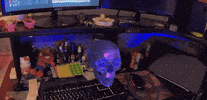 GIF by Qenawi