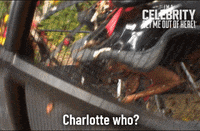 Imacelebrityau GIF by I'm A Celebrity... Get Me Out Of Here! Australia