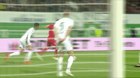 1 fc cologne football GIF by 1. FC Köln