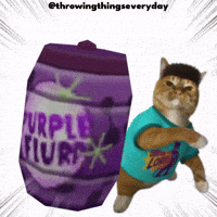 Throw Throwing GIF