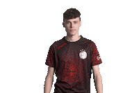 Eme Emerickson Sticker by AC Sparta Praha