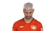 Bayer 04 Hello Sticker by Bundesliga
