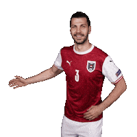 Euro 2020 Football Sticker by UEFA