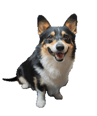 828id dog logo design puppy Sticker