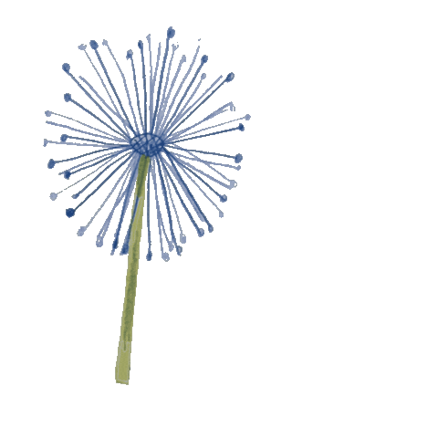 lucie_lev giphyupload cute flower wind Sticker