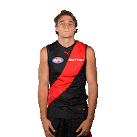 Football Sport Sticker by Essendon FC