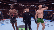 Mixed Martial Arts Sport GIF by UFC