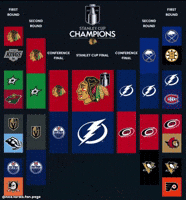 Stanley Cup Nhl GIF