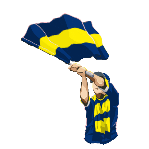 futbol mac Sticker by Passolig