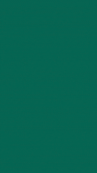 sticnamladih 2021 sm sticna stična mladih GIF