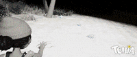 Awaceb game fun animation girl GIF