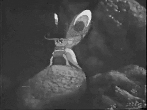chaodeknoi giphygifmaker giphyattribution sudsakorn 1979 payut ngaokrachang GIF