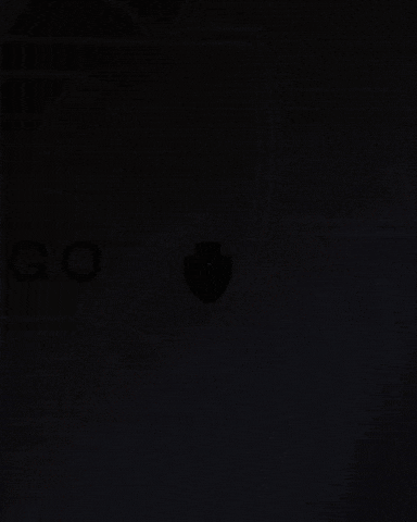 Vasco GIF