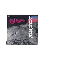 Vinyl Coliseum Sticker by Coliseum_Almudevar