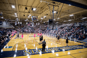 Womens Basketball GIF by Cedarville University