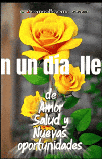 Esta De Amor GIF by Murcianys LLC