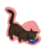 Black Cat Gatopreto Sticker