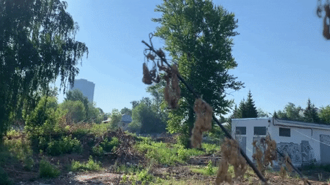 e-Kazan giphyupload GIF