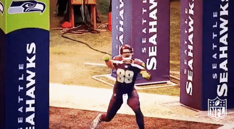 Seattle Seahawks Football GIF by NFL