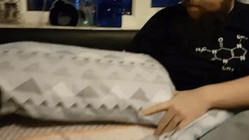 Puppy Very Confused by Tickling Pillows