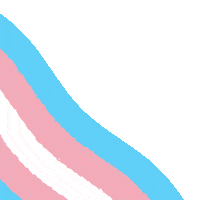 Gay Picture Sticker by PinkNews