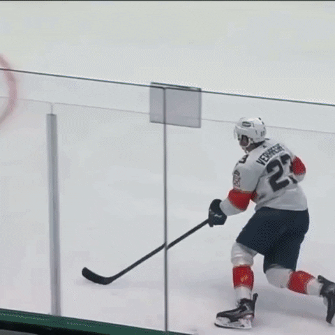 Florida Panthers Goal GIF by Hockey Players Club