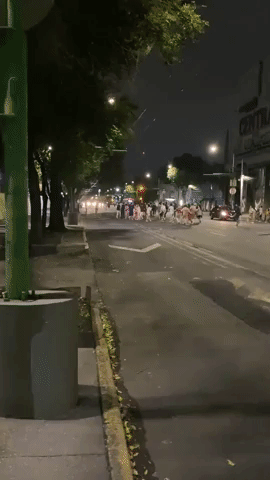 Locals Wake to Quake Alarm as Tremors Felt in Mexico City
