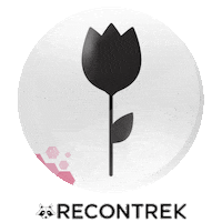 Flower Gadgets Sticker by recontrek