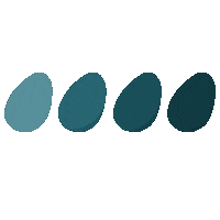 Color Paint Sticker