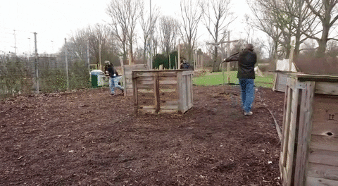 Iamsterdam giphyupload GIF