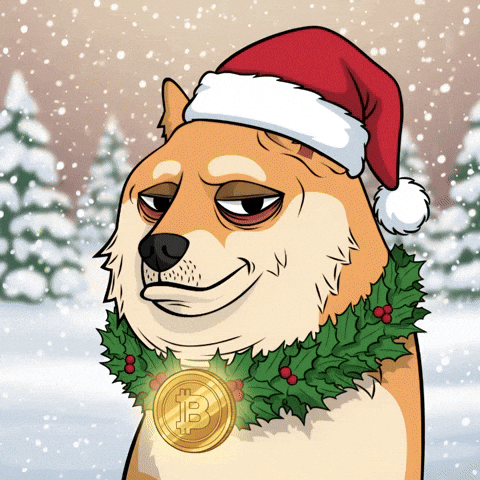 Christmas Snow GIF by Doge Pound