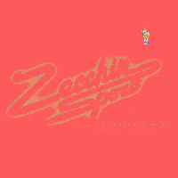 zecchinsport sport run running ski GIF