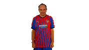 Fcvpesport Sticker by FCVP