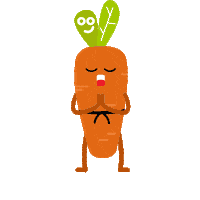 Carrot Qatar Sticker by Foodak