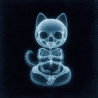 Halloween Warning GIF by The LSD Hotel