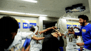 McNeeseSports celebration basketball celebrate ncaa basketball GIF
