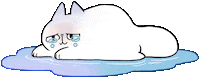 Cat Crying Sticker