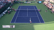 Indian Wells Tennis GIF
